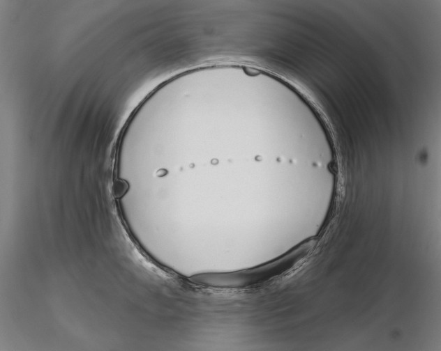 X0000116041102200912111433