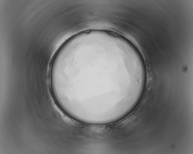 X0000116041103200912111433