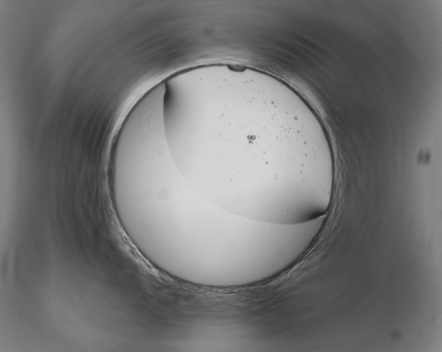 X0000116041104200912111433