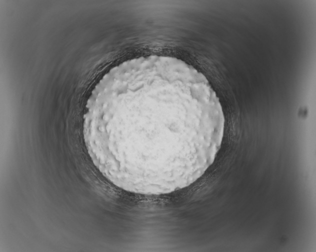 X0000116041105200912111433