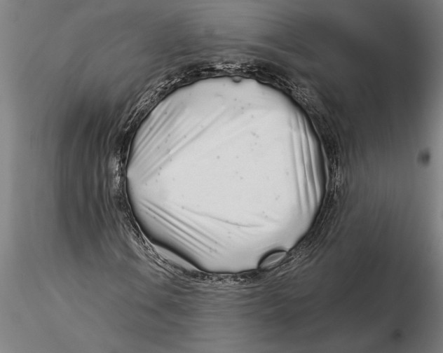 X0000116041106200912111433