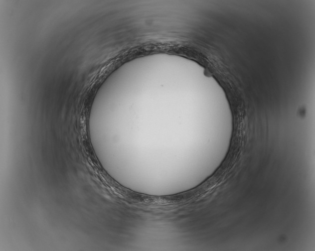 X0000116041109200912111433