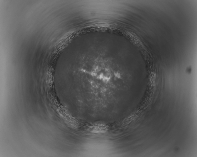 X0000116041110200912111433