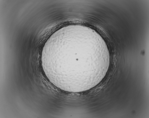 X0000116041111200912111433