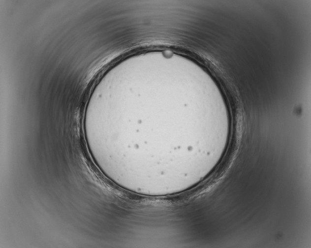 X0000116041113200912111433