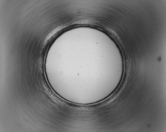 X0000116041114200912111433