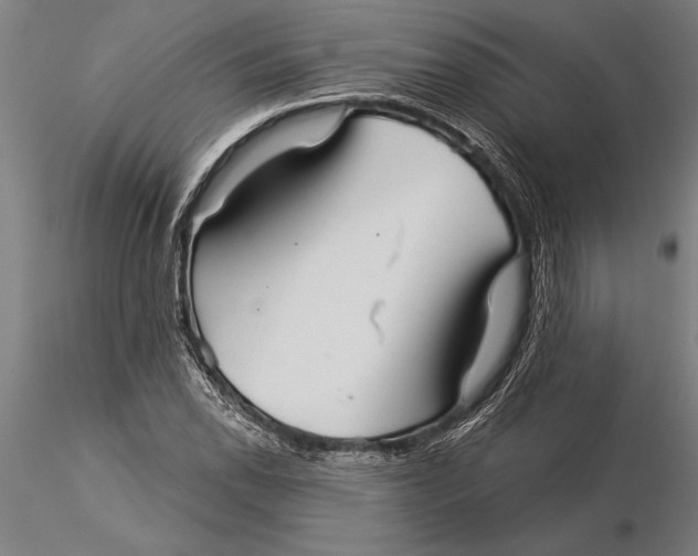 X0000116041118200912111433