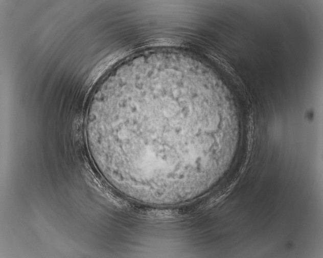 X0000116041121200912111433