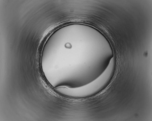 X0000116041122200912111433