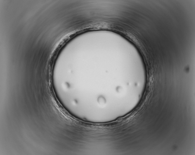 X0000116041123200912111433