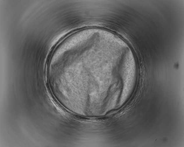 X0000116041127200912111433