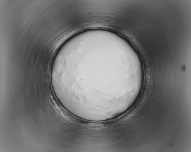 X0000116041129200912111433