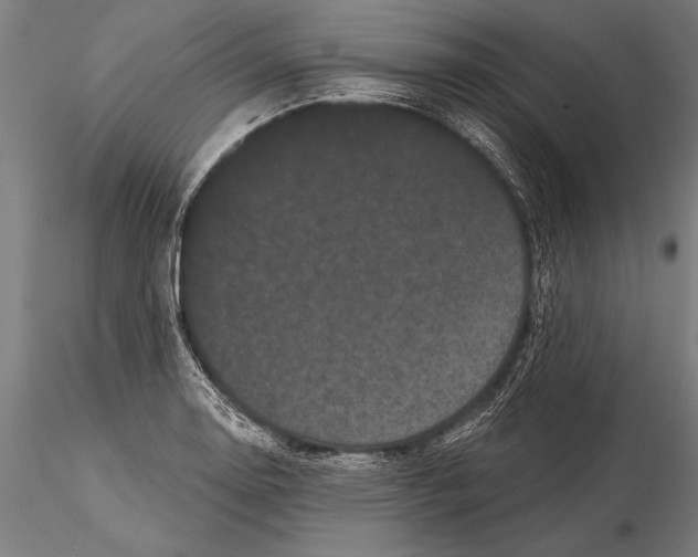 X0000116041130200912111433