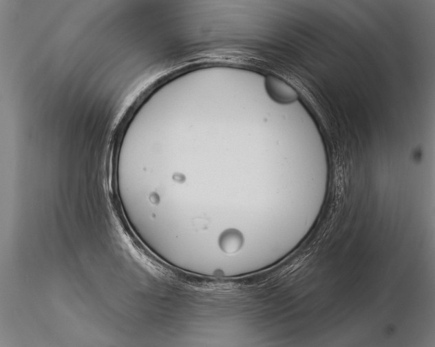 X0000116041131200912111433