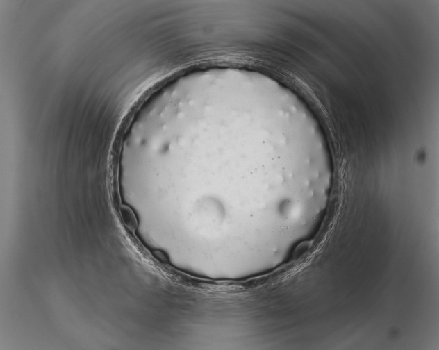 X0000116041133200912111433