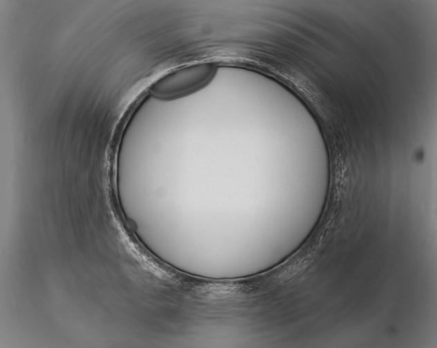 X0000116041134200912111433