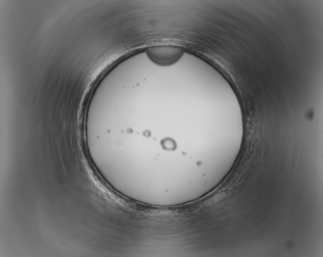 X0000116041135200912111433