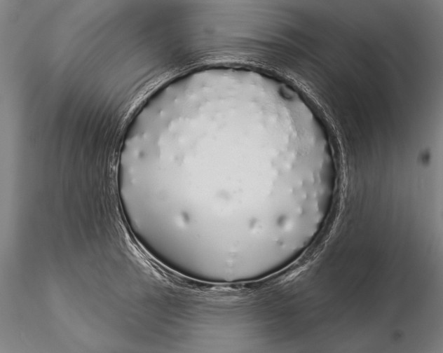 X0000116041137200912111433