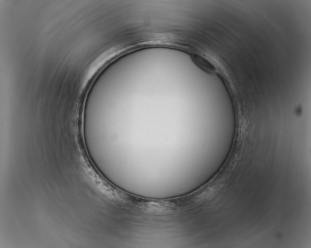 X0000116041138200912111433