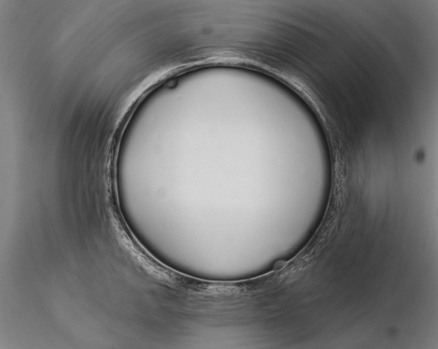 X0000116041142200912111433