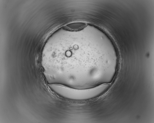 X0000116041145200912111433