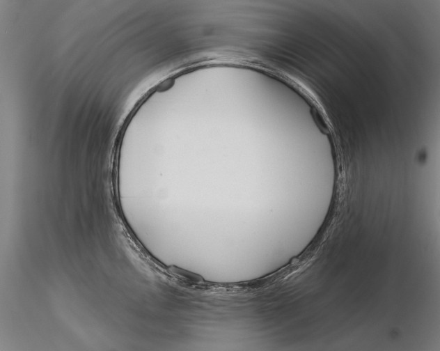 X0000116041146200912111433