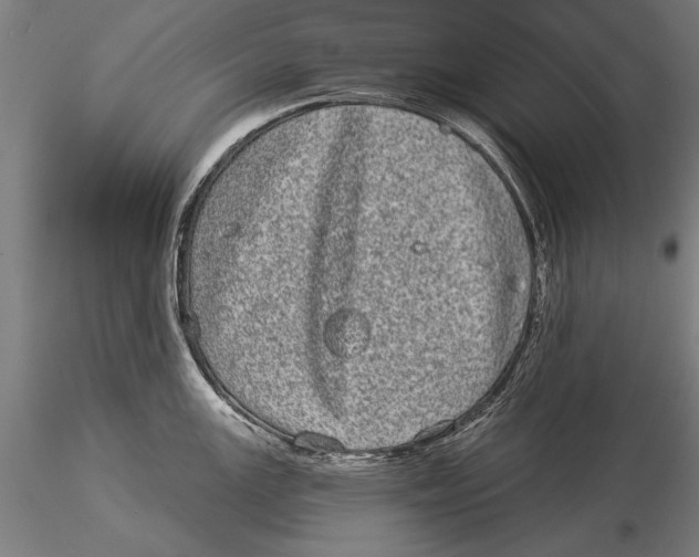 X0000116041147200912111433