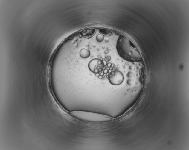 X0000116041149200912111433