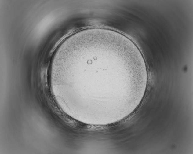 X0000116041150200912111433