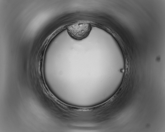 X0000116041151200912111433