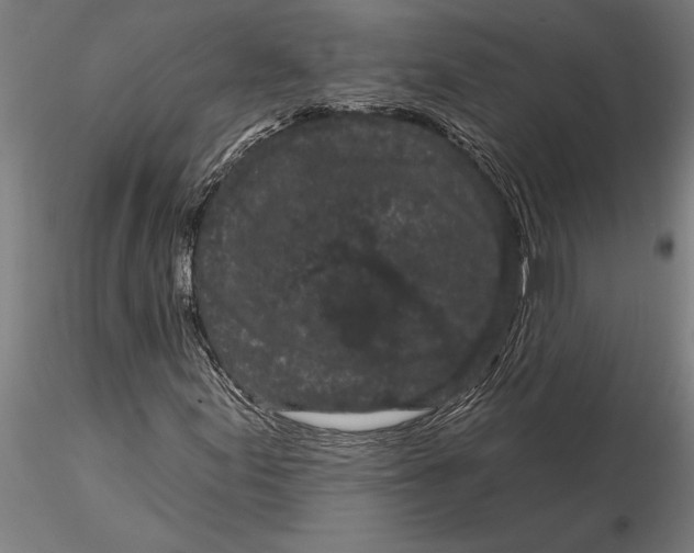 X0000116041155200912111433