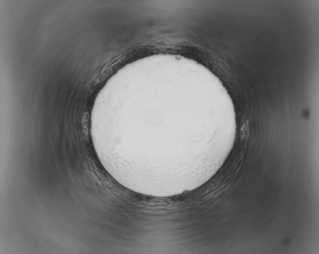 X0000116041156200912111432