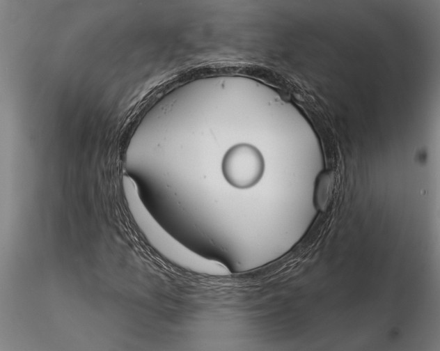 X0000116041157200912111432