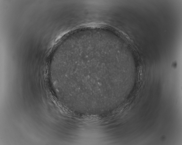 X0000116041158200912111432