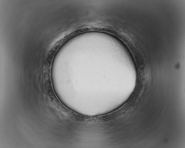 X0000116041159200912111432