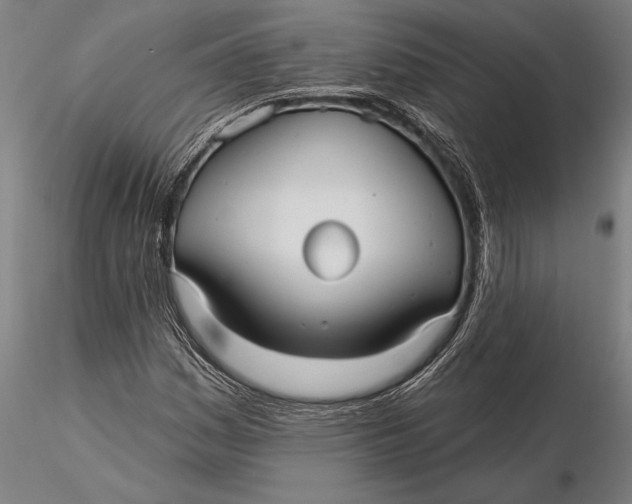 X0000116041161200912111432