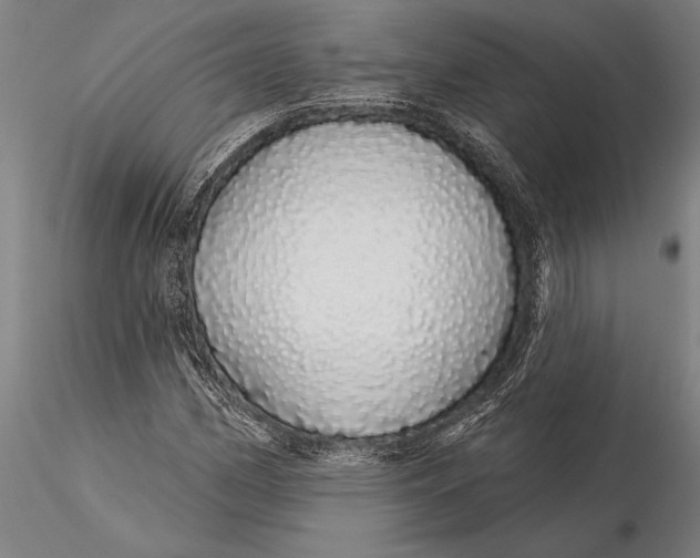 X0000116041162200912111432