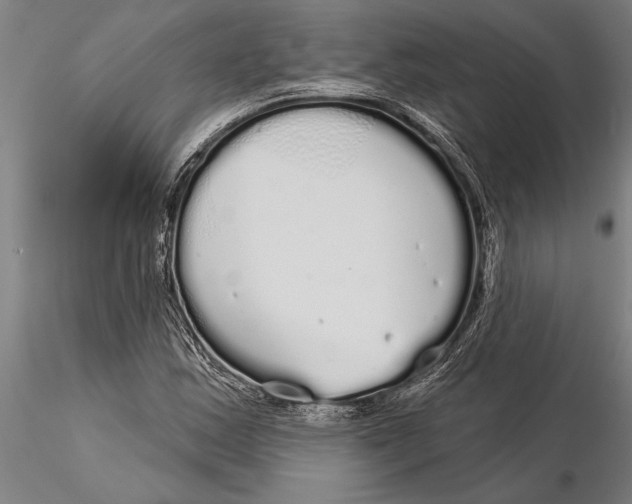 X0000116041163200912111432