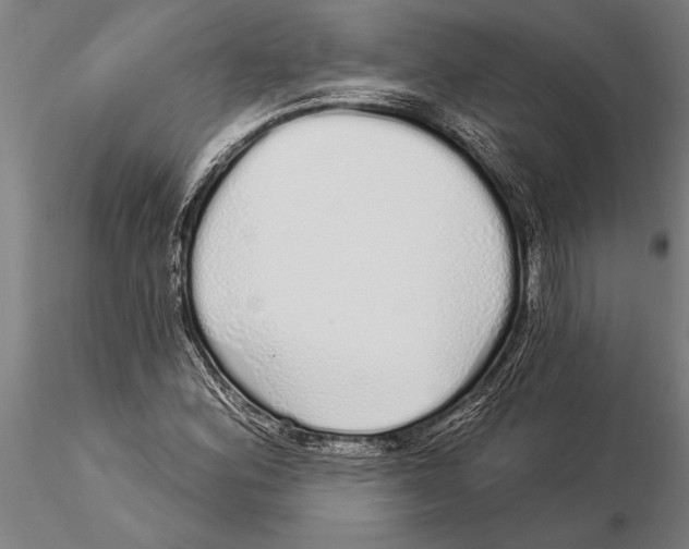 X0000116041164200912111432