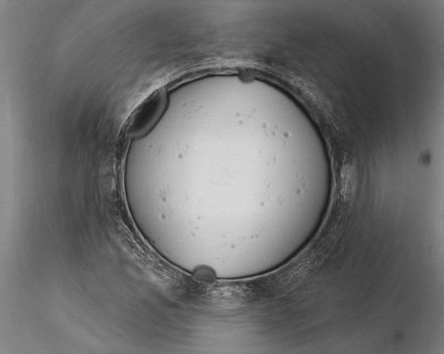 X0000116041165200912111432