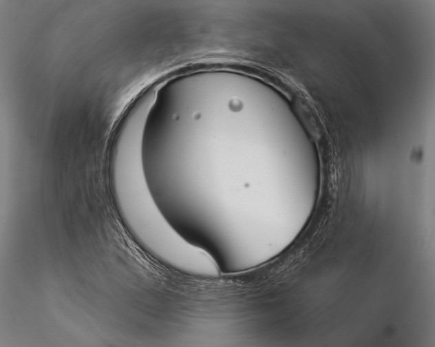 X0000116041167200912111432