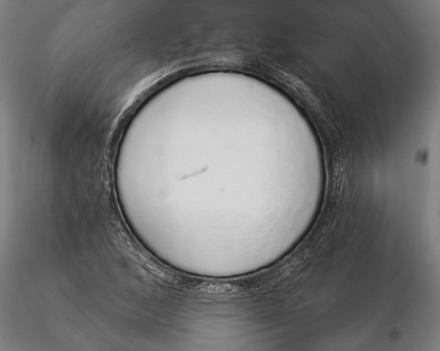 X0000116041168200912111432