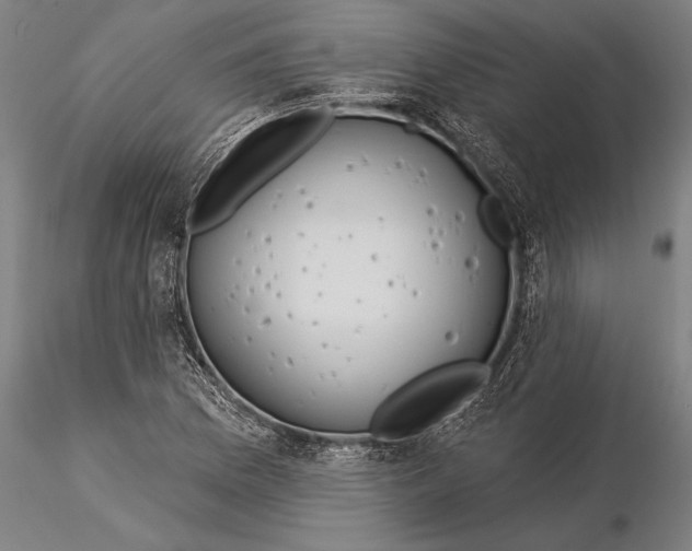 X0000116041169200912111432