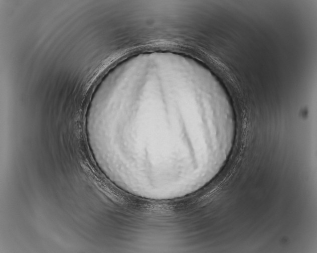 X0000116041170200912111432