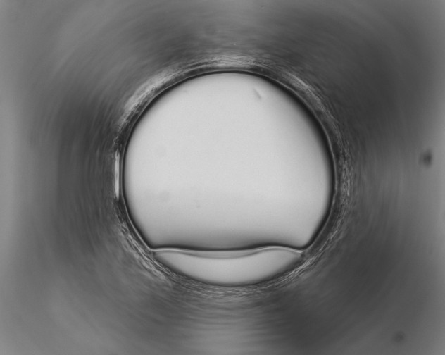 X0000116041171200912111432