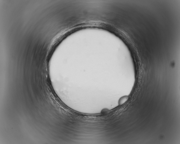 X0000116041172200912111432