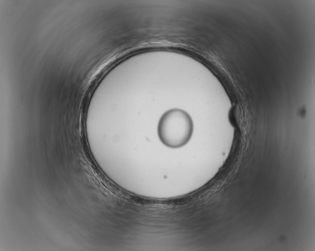 X0000116041173200912111432