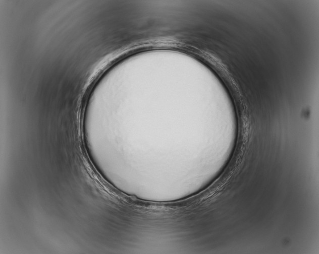 X0000116041176200912111432