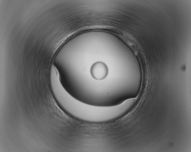 X0000116041177200912111432