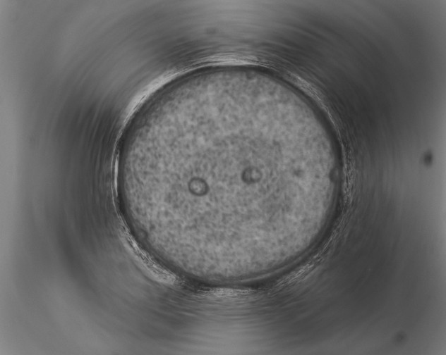 X0000116041179200912111432